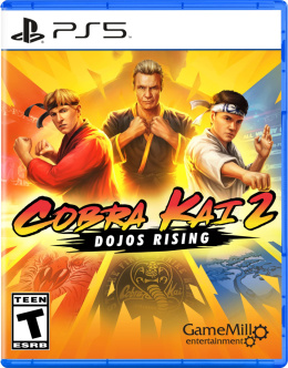 Cobra Kai 2 Dojos Rising PS5